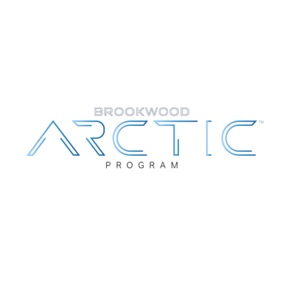 Arctic™