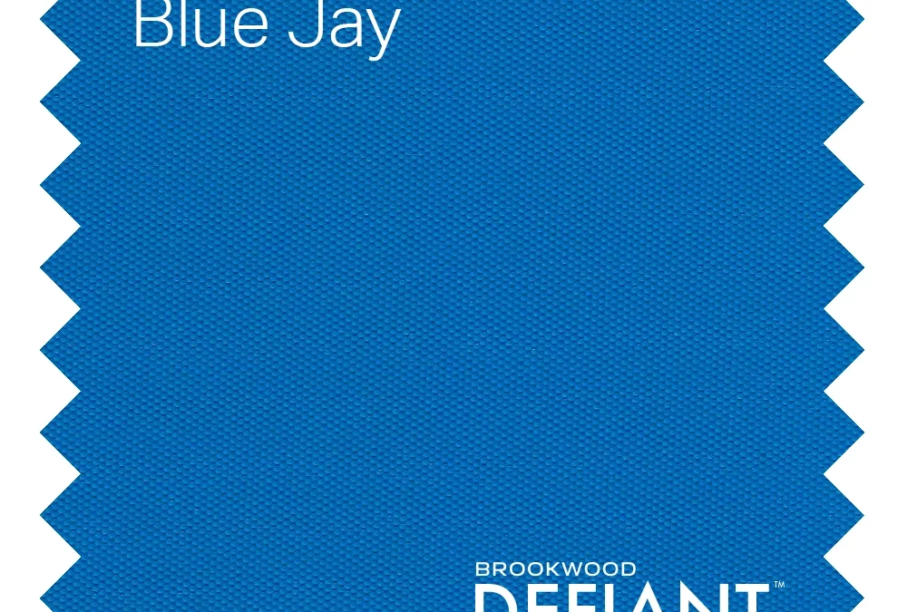 Defiant™ Blue Jay