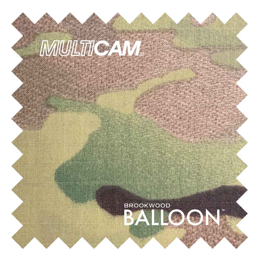 BalloonMulticam