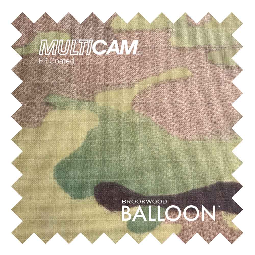 BalloonMulticamFR