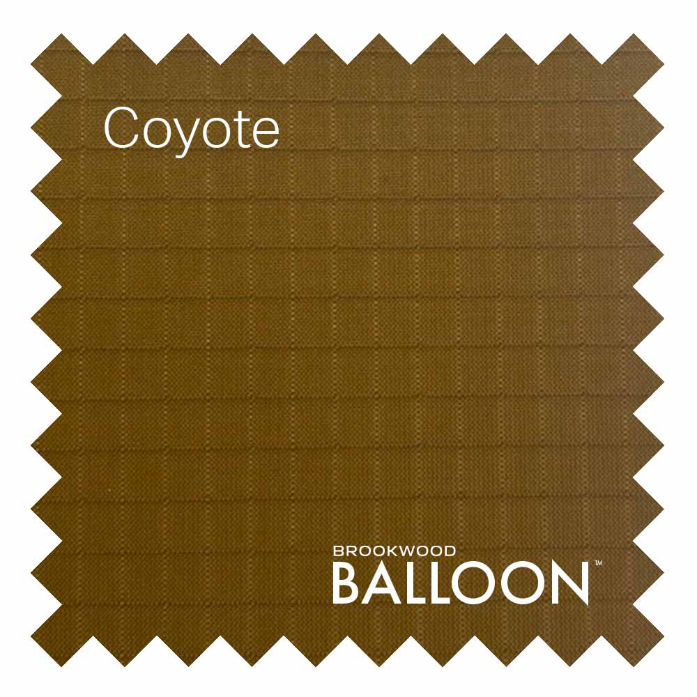 BalloonCoyote
