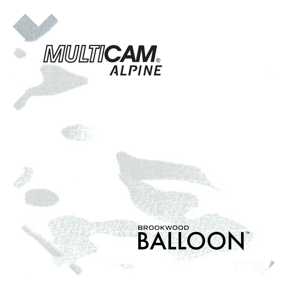 BalloonFRMulticamAlpine