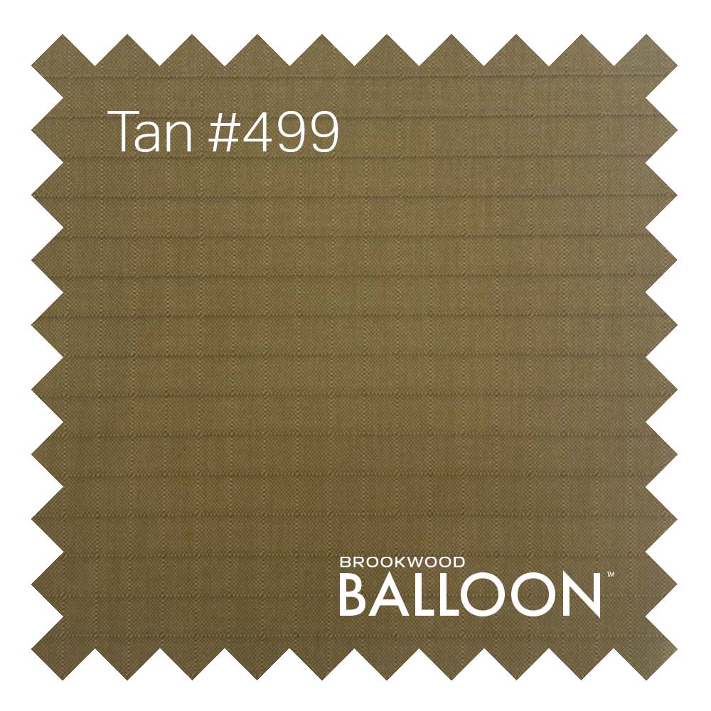 BalloonTan499